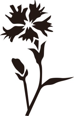 Çiçeğin siluet çizimi