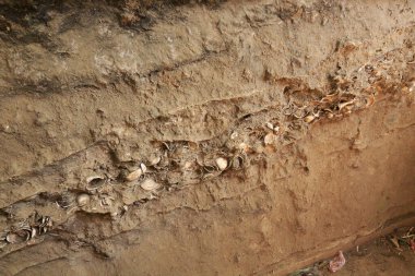toprak ya da toprak malzemesi, kabuklu jeolojik oluşum           