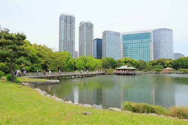 Tokyo, Japonya 'daki Hama-rikyu bahçeleri.