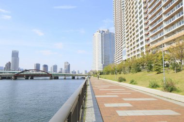 Harumi Köprüsü, Tokyo, Japonya 