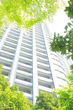 yeşil ağaç ve şehrin modern binası