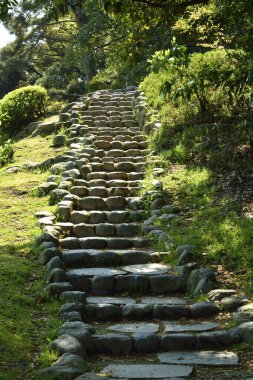 Yeşil şehir parkındaki merdivenler, doğa manzarası.