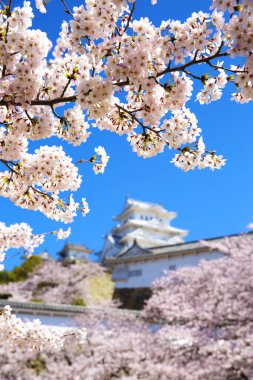 Osaka, Japonya Osaka Kalesi bahar mevsiminde 