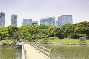 Tokyo, Japonya 'daki Hama-rikyu bahçeleri.