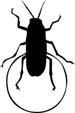Beyaz arka planda siyah böcek silueti