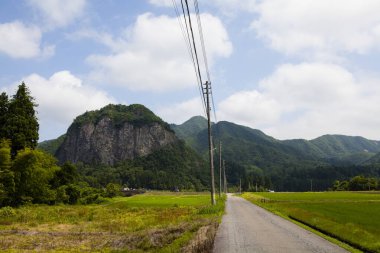 Yeşil dağlara giden yol