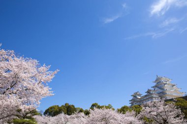 Osaka, Japonya Osaka Kalesi bahar mevsiminde 