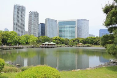 Tokyo, Japonya 'daki Hama-rikyu bahçeleri.
