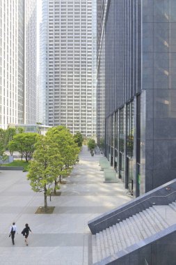 Şehirdeki ağaçlar ve modern binalar