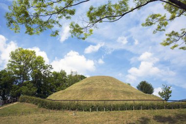 Mavi gökyüzünün altındaki ağaçlarla çevrili otlak bir mezar yığını.