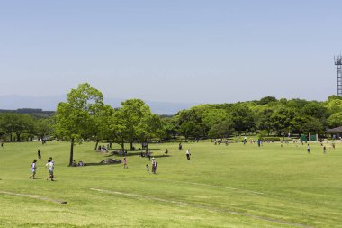 Sunny Green Park Çimlerinde Rahatlayan İnsanların Geniş Görünümü