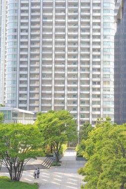 Şehirdeki ağaçlar ve modern binalar