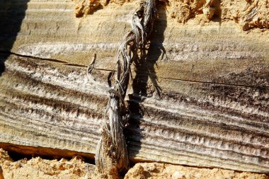 Yıpranmış Tahıl, İp ve Kum 'a yakın çekim