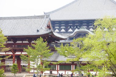Eski bir Japon tapınağının manzaralı tasviri