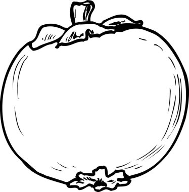 Beyaz arkaplanda izole edilmiş domates, basit siyah beyaz çizim