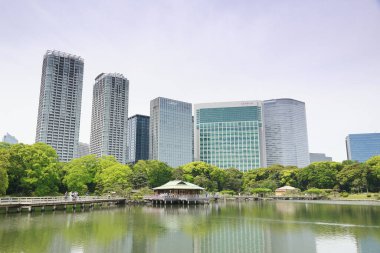 Tokyo, Japonya 'daki Hama-rikyu bahçeleri.