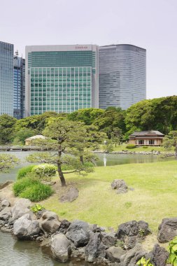 Tokyo, Japonya 'daki Hama-rikyu bahçeleri.