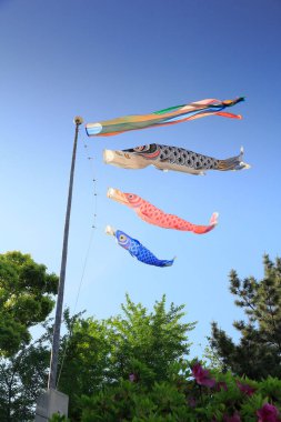 Açık arkaplanda balık uçurtmaları