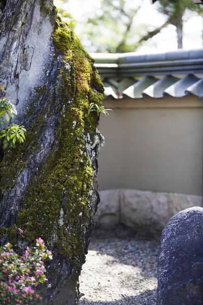 Japanilainen Perinteinen Talon Katto — kuvapankkivalokuva