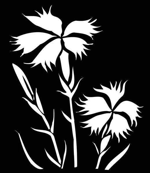 黑白日本风格的花卉插画 — 图库照片