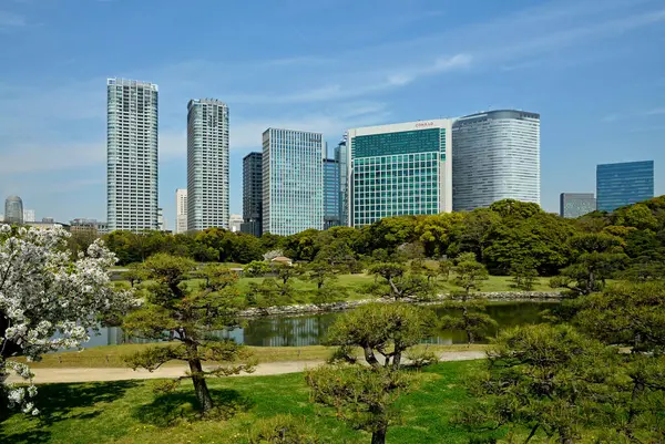 green city park in Tokyo, Japan