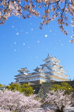 Osaka, Japonya Osaka Kalesi bahar mevsiminde 