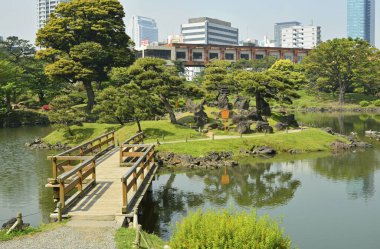 Gündüz vakti Tokyo Bahçesi 'nde