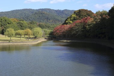 Güz parkında göl ve ağaçlarla güzel bir manzara.