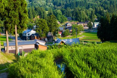 Kırsal kesimdeki geleneksel Japon mimarisinin güzel manzarası 