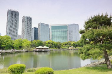 Tokyo, Japonya 'daki Hama-rikyu bahçeleri.