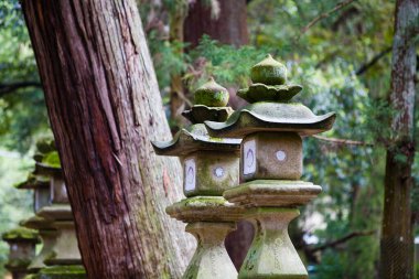 Yazın güzel Japon bahçesi 