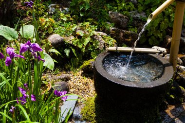 Parkta akan çeşmenin yakınında.