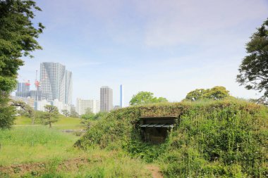 Tokyo, Japonya 'daki Hama-rikyu bahçeleri.