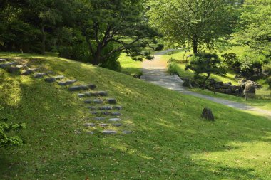 Ağaçları ve açık alanı olan huzurlu yeşil bir park..