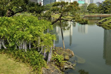 Göletli güzel Japon parkı