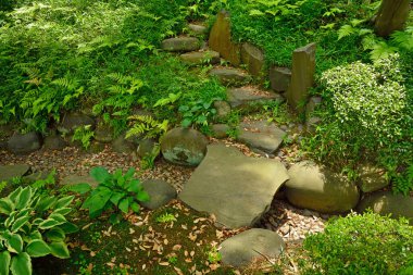 Kyoto 'daki Japon bahçesi.