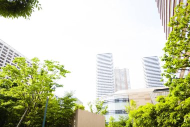 Asya şehri ve ağaçlarının modern şehir mimarisi