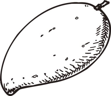 mango ana hatları illüstrasyon, gıda konsepti