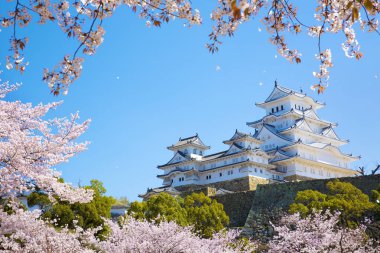 Osaka, Japonya Osaka Kalesi bahar mevsiminde 