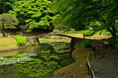 Gölet ve köprüsü olan Japon bahçesi manzarası