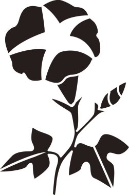 Çiçeğin siluet çizimi 