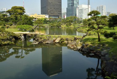 Yaz zamanı göletli güzel Japon parkı