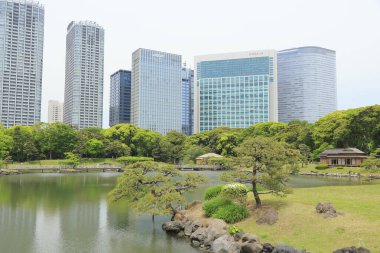 Tokyo, Japonya 'daki Hama-rikyu bahçeleri.