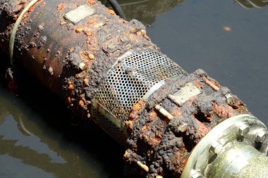 Su altında paslı boru yosun ve enkazla kaplı.