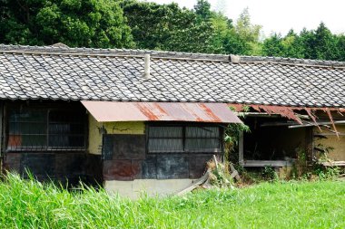 Uzun yeşil çimenler ve ağaçlarla çevrili terk edilmiş bir bina.