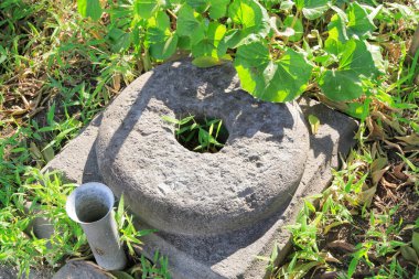 Yeşil Asmalı Taş Öğütücü Çim Çarkı