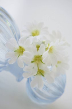 Güzel beyaz çiçekleri ve mavi cam süslemeleri olan kompozisyon