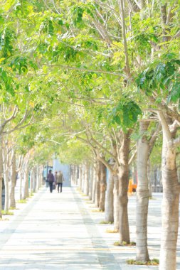 İnsanlar parkta yürüyor.