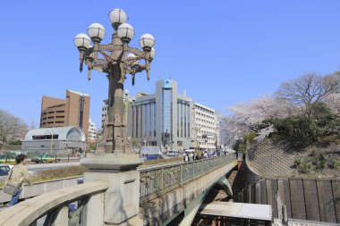 Tokyo, Japonya 'da sakura çiçek açar.