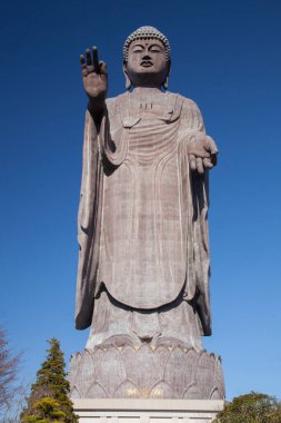 Ushikuu Daibutsu heykeli Ushikuu, Ibaraki Bölgesi, Japonya.